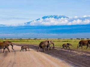 🇰🇪WELCOME TO