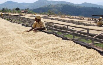 🇷🇼Women Coffee