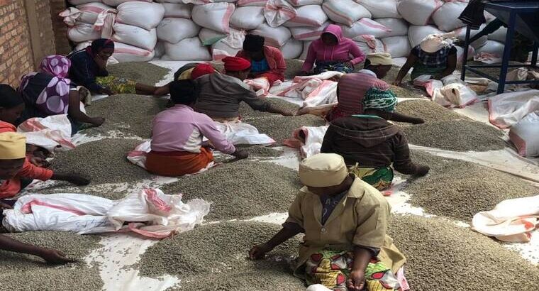 🇷🇼Women Coffee