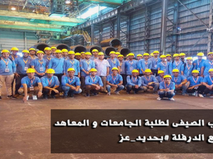 🇪🇬Steel Producer