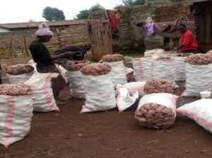 🇰🇪Chips Taste potatoes