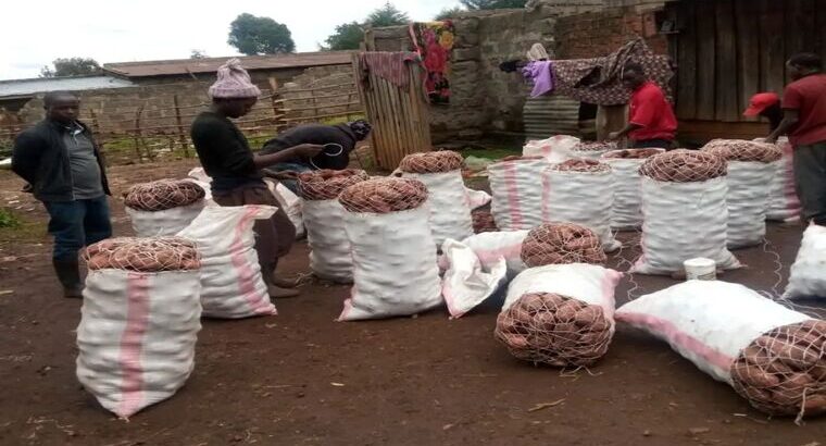 🇰🇪Chips Taste potatoes