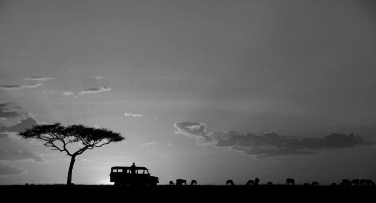 🇰🇪Kenyasafari