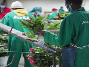 🇰🇪flowerbouquet