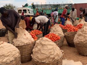 🇳🇬Tomato Paste