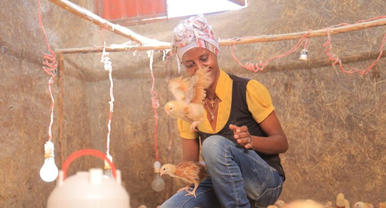 🇪🇹Poultrybusiness